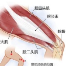 伤病关系鉴定